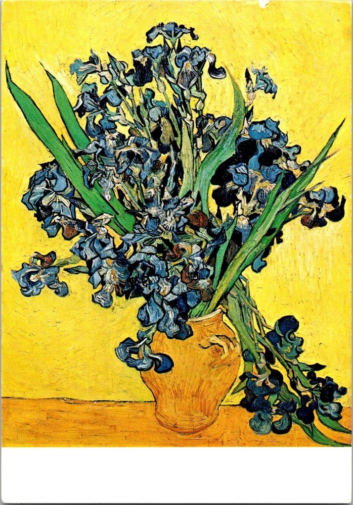 Vincent van Gogh Irises Fine Art Flower Painting Continental Postcard C103