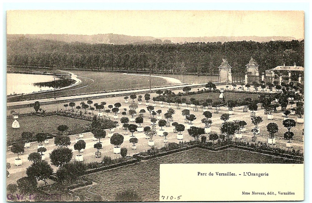 S02-8130, Parc De Versailles, L'orangerie, 100 Year-Old Postcard