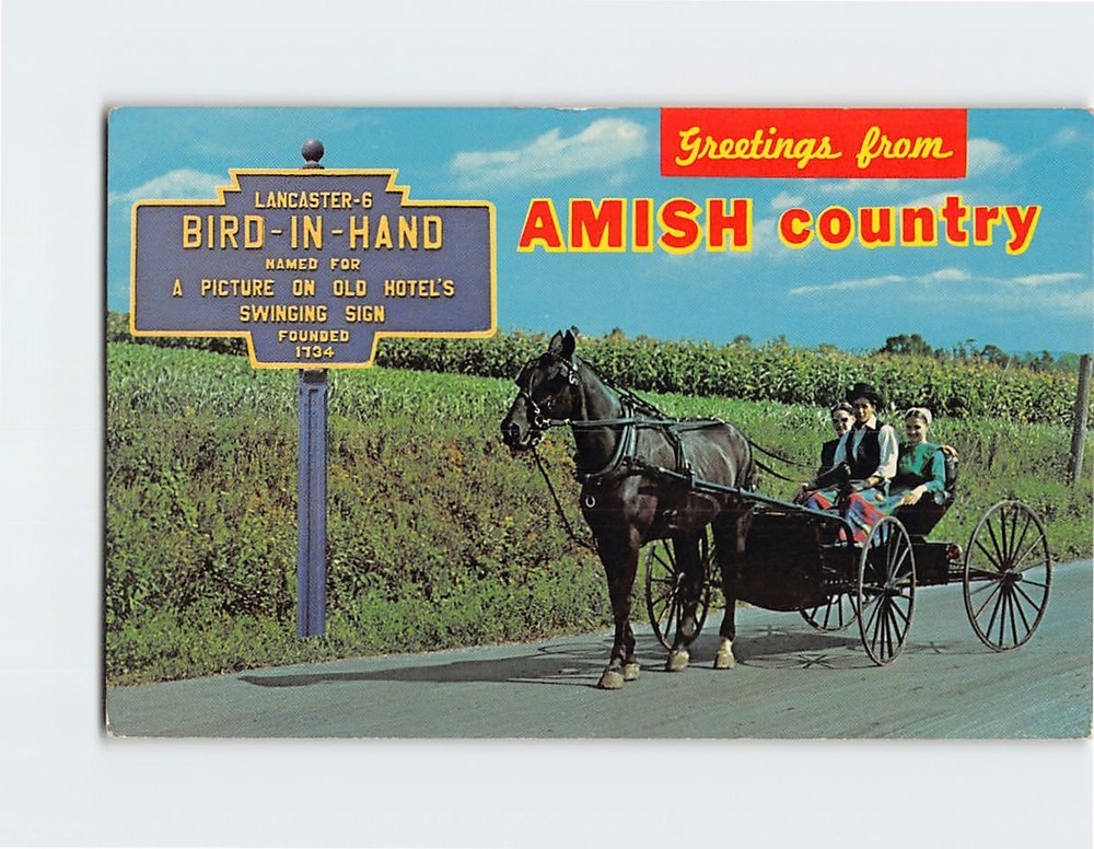 Postcard Young Amish People Horse Buggy Greetings from Bird-In-Hand Pennsylvania
