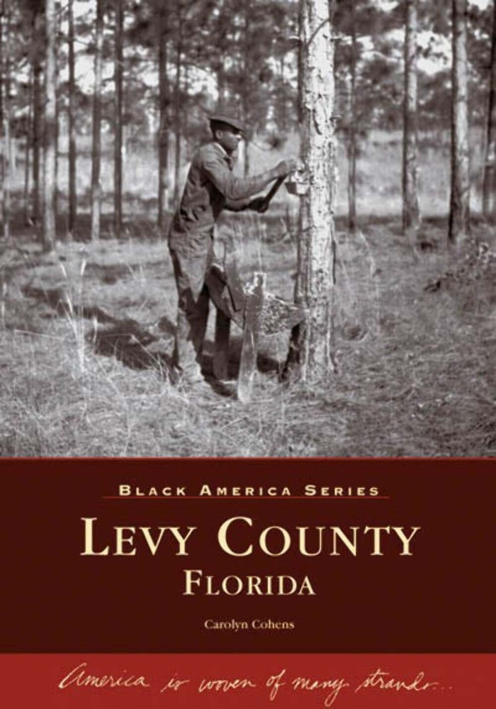 NEW Arcadia Publishing Levy County, Florida, FL 9780738541969 Black America Seri