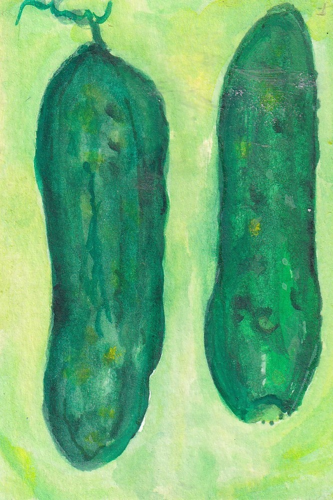ACEO Cucumbers Watercolor Painting Art by Sharon Foster Original