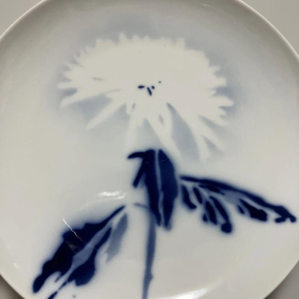 Royal Copenhagen Plate Hannemann Flower Pattern 25cm Used