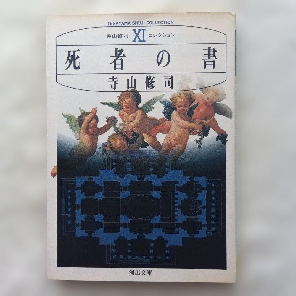 Book of the Dead Shuji Terayama Collection XI  河出文庫  Literature