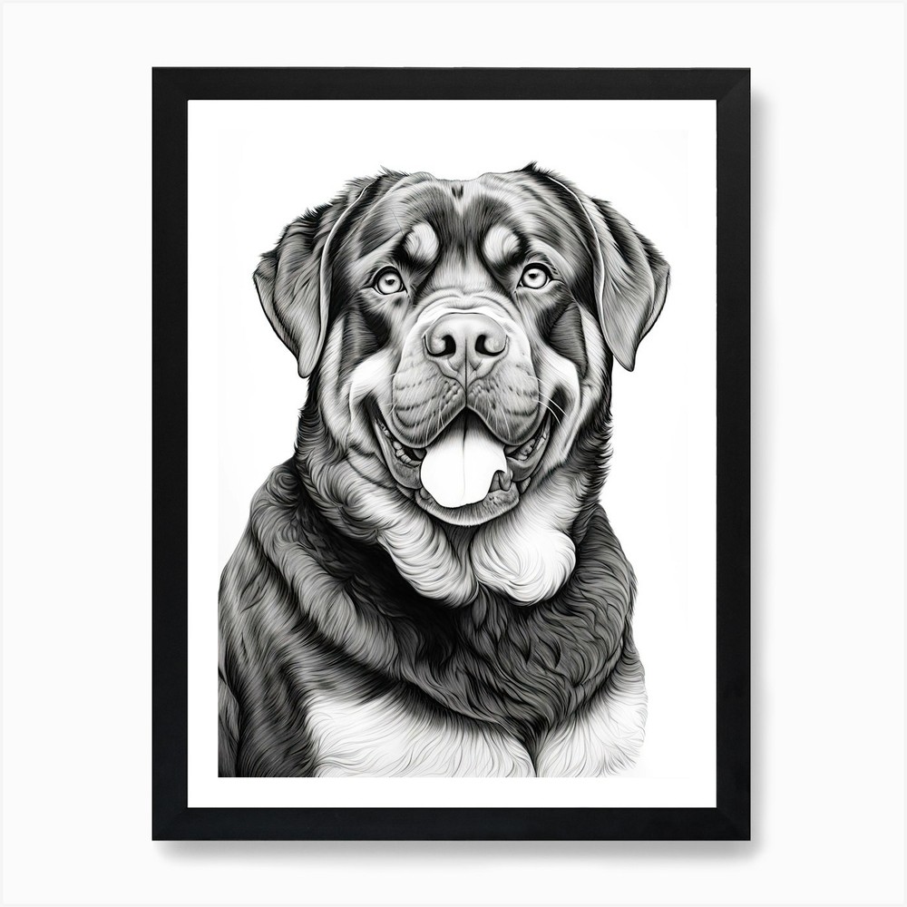 Rottweiler Dog, Line Drawing 2 Art  Framed Wall Art Poster Canvas Print Picture