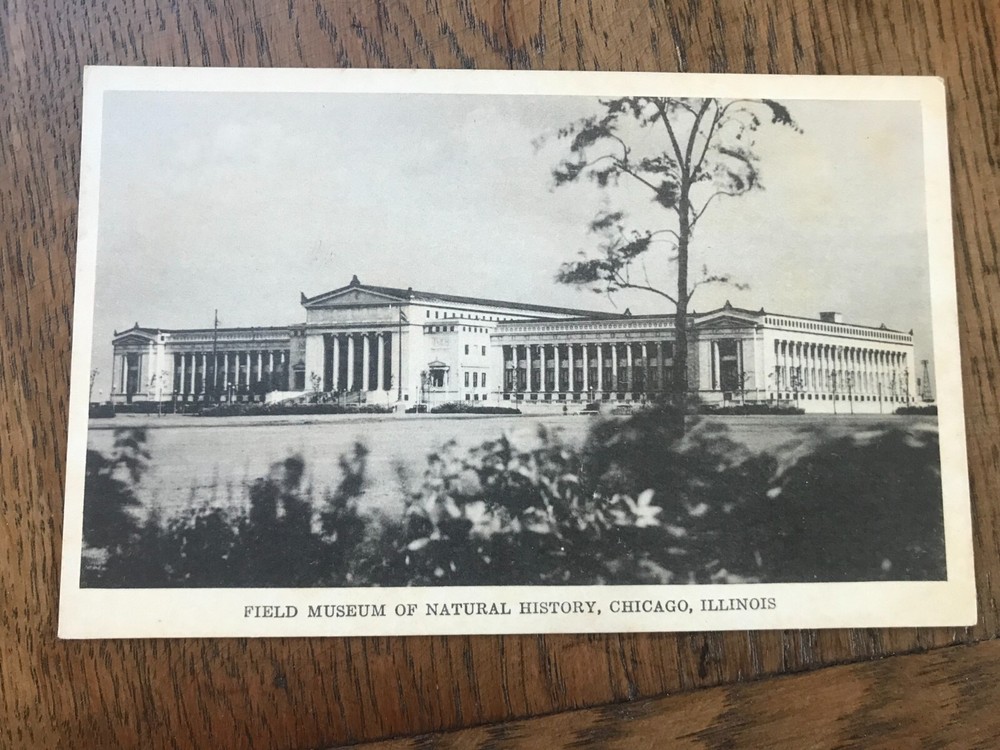 The Field Museum of Natural History Chicago Illinois IL Postcard
