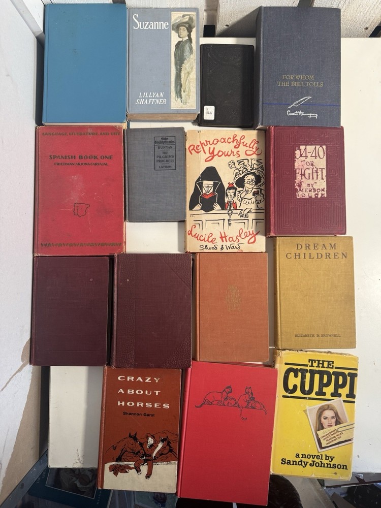 Lot of 15 Vintage Hardcover Books Hemingway Pilgrim’s Progress Spanish