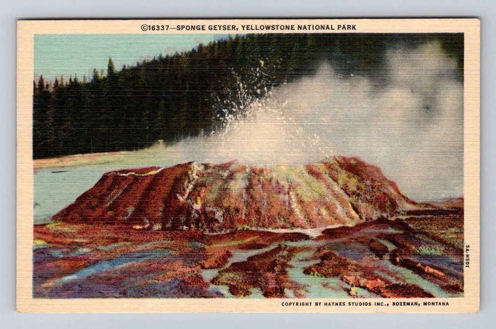 Yellowstone National Park, Sponge Geyser, Series #16337 Vintage Postcard