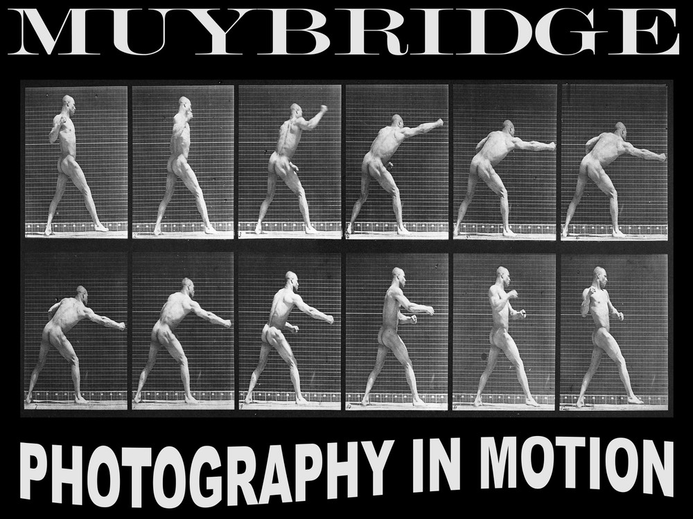 11507.Decorative Poster.Wall art decor.Muybridge photography.Boxing.Gay