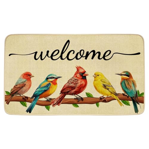 Spring Door Mat Bird Welcome Decor Doormat, Summer Decorative Indoor Outdoor