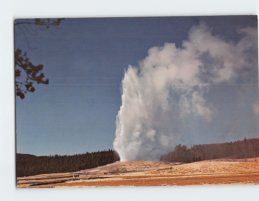 Postcard Old Faithful Geyser Yellowstone National Park Wyoming USA