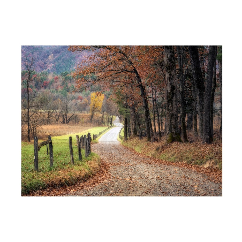 Canvas Wall Art - Danny Head 'Autumn Drive I' Wall Art for Living Room, Bedro...