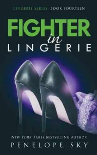 Fighter in Lingerie by Sky, Penelope, Like New Used, Free shipping in the US