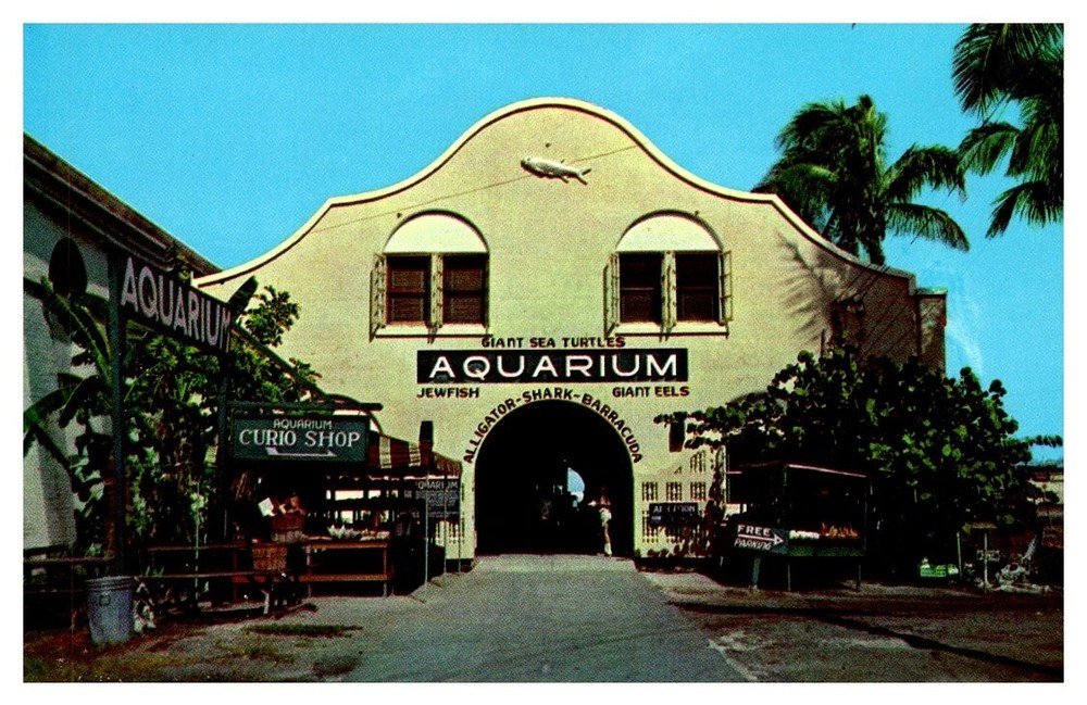 1950s Municipal Aquarium Key West Florida Vintage Postcard