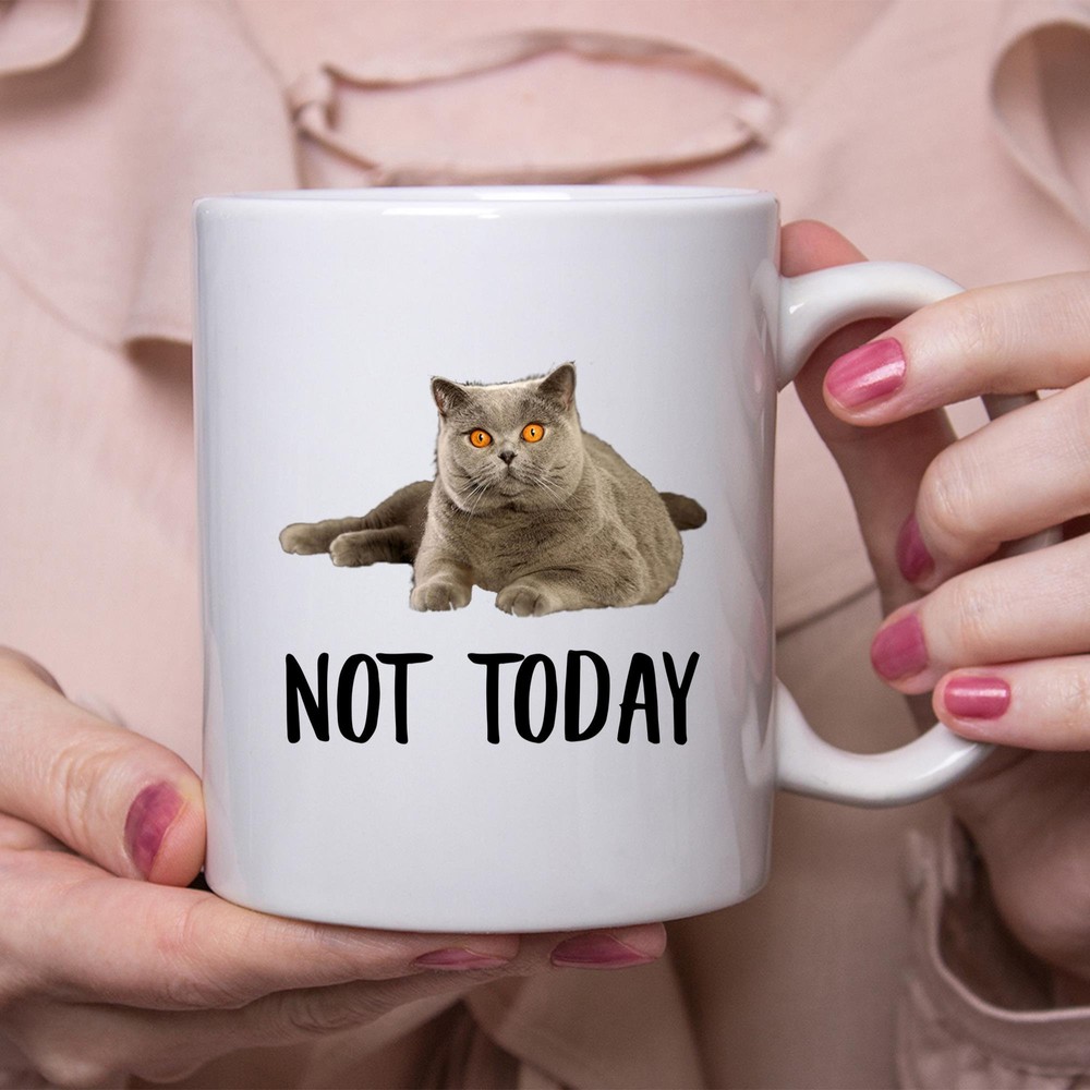 Funny British Shorthair Cat Grey Not Today Cat Mug Lazy Gift For Cats Lovers