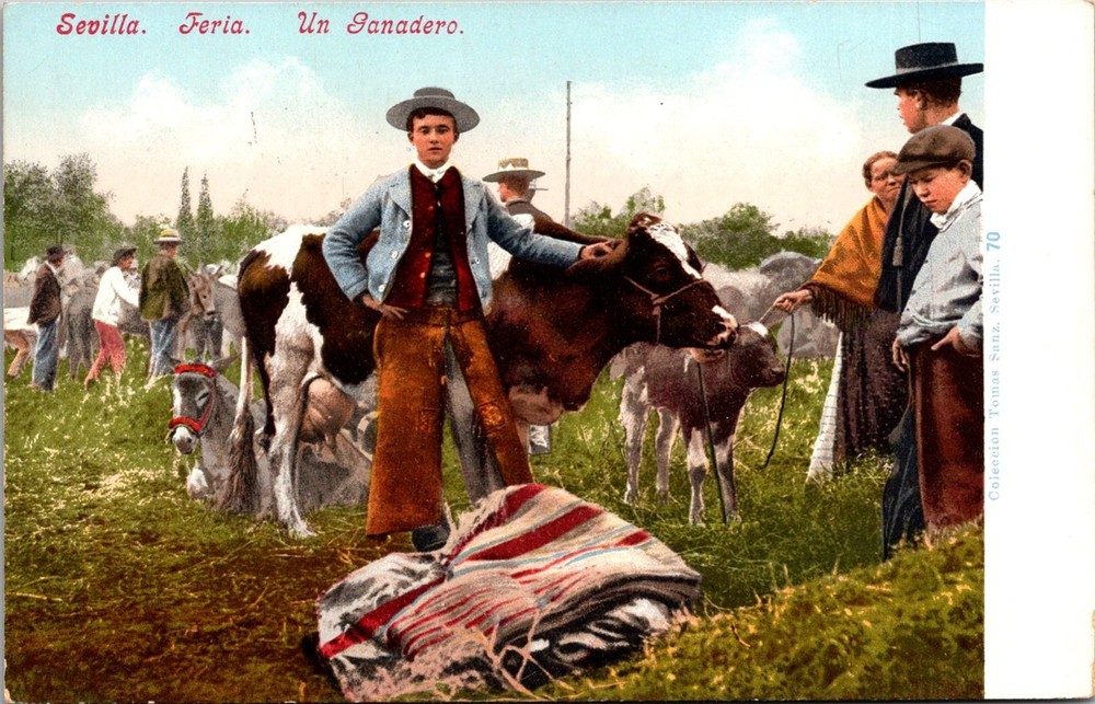 Dr Jim Stamps Postcard Spain Seville Fair Scene Undivided Back