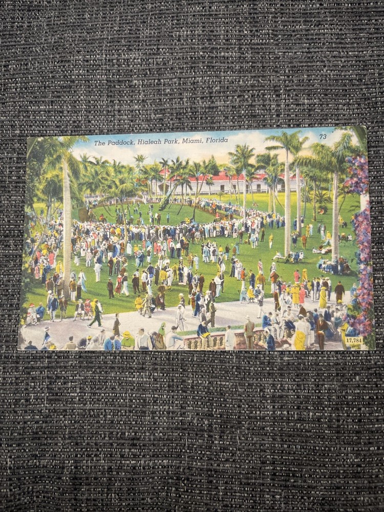 Vintage Linen Postcards Miami, Florida~ The Paddock, Hialeah Park