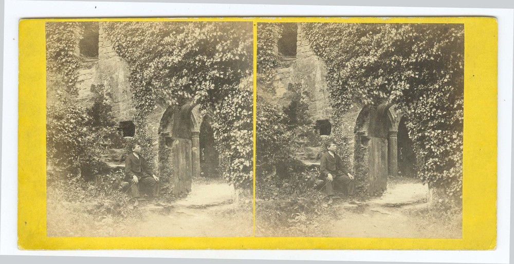 G2030~ ENGLAND – Berry Pomeroy Castle 1860s Stereoview – J. Ford, Exeter