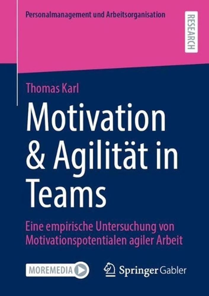 Motivation & Agilitt in Teams: Eine empirische Untersuchung von Motivationspoten
