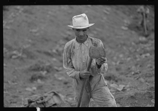 Photo:Barranquitas Puerto Rico 1941 Tobacco Field Worker with Hoe