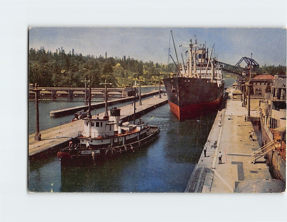 Postcard Government Locks Seattle Washington USA