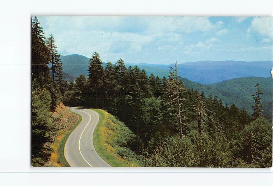 Postcard GS-28 Clingmans Dome Highway Great Smoky Mountains NC TN Vintage