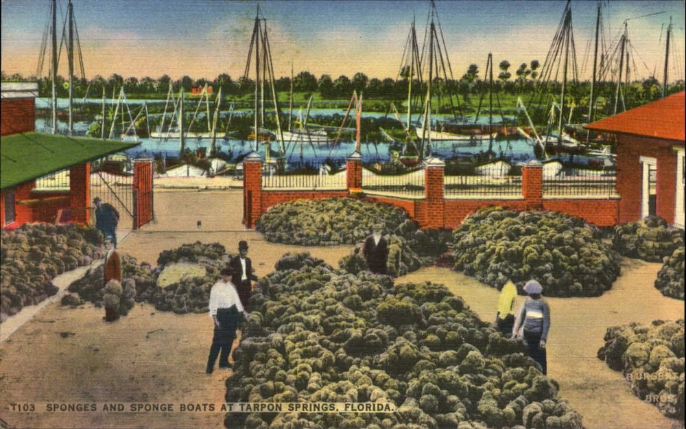 Sponges and sponge boats at Tarpon Springs Florida FL 1940s