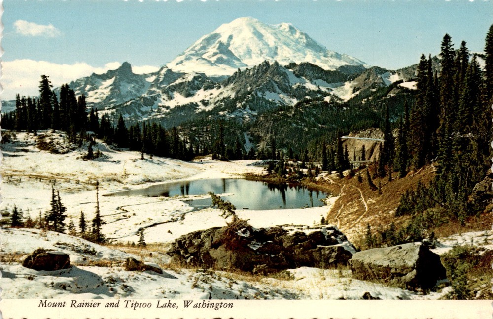 Mount Rainier, Tipsoo Lake, Washington, Chinook Pass, Western Postcard