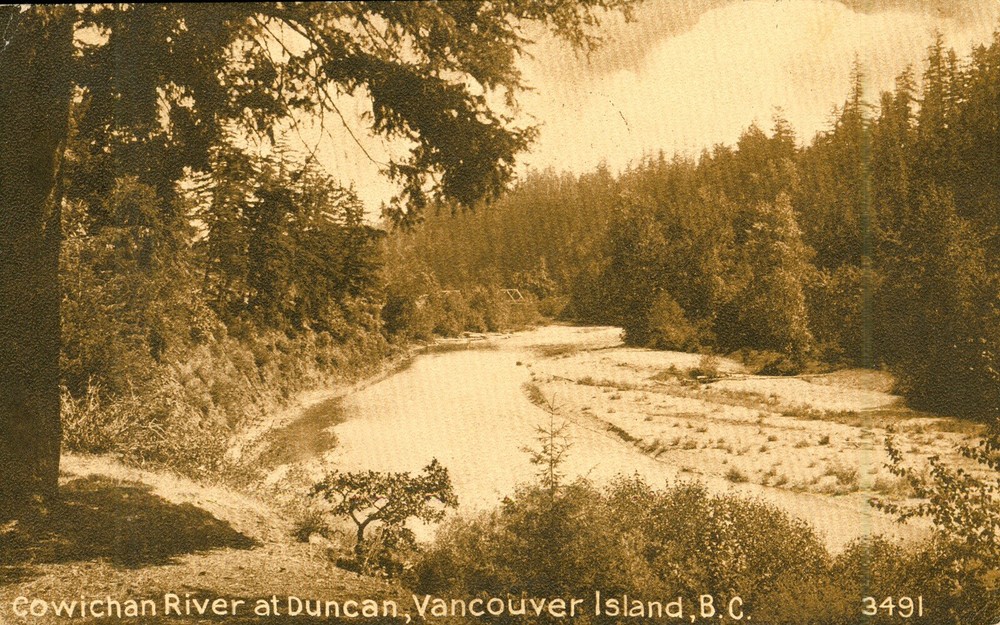 Duncan Vancouver Island B.C.Postcard Canada Cowichan River Antique c1913. N