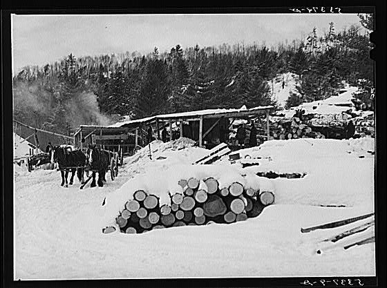 Logs leveled by 1938 hurricane piled at sawmill near Warren, New Hampshire]