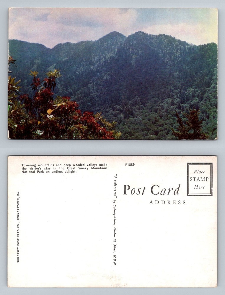 Smoky Mountains Nat'l Park, NC-North Carolina, Wooded Valleys Vintage Postcard