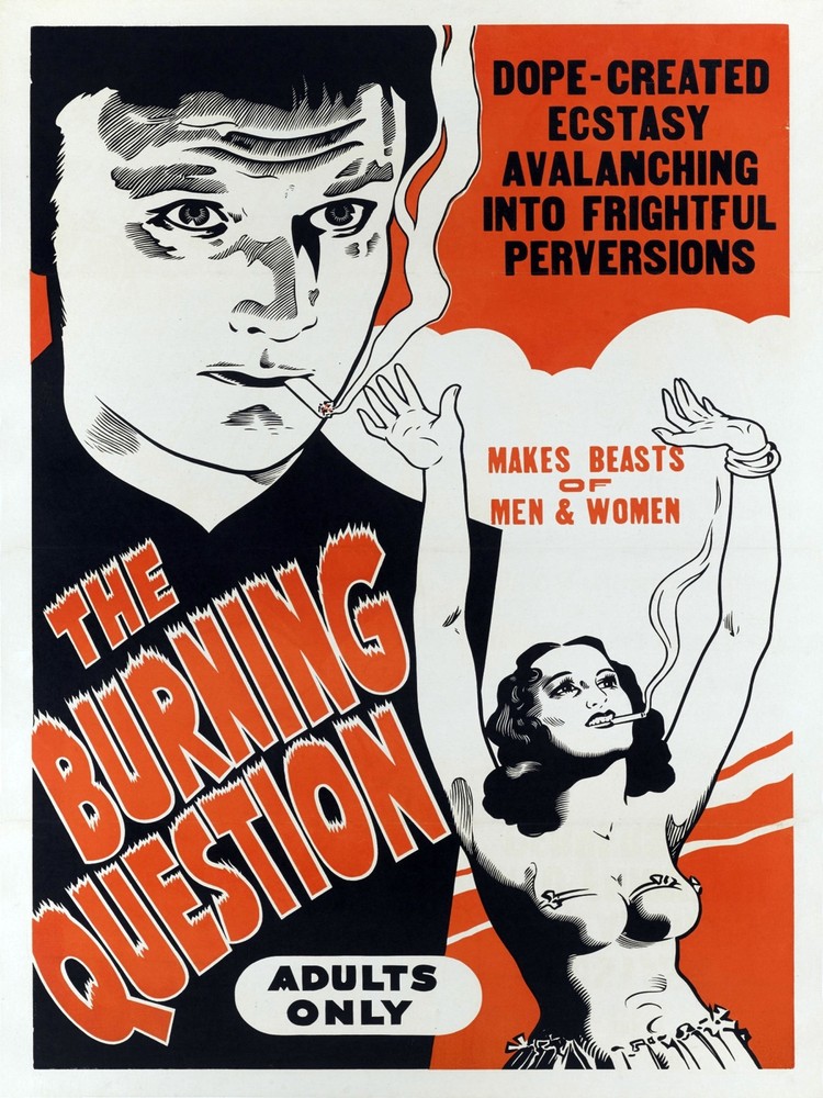 Wall Decoration Poster.Home Room design.Burning question marijuana movie.11730
