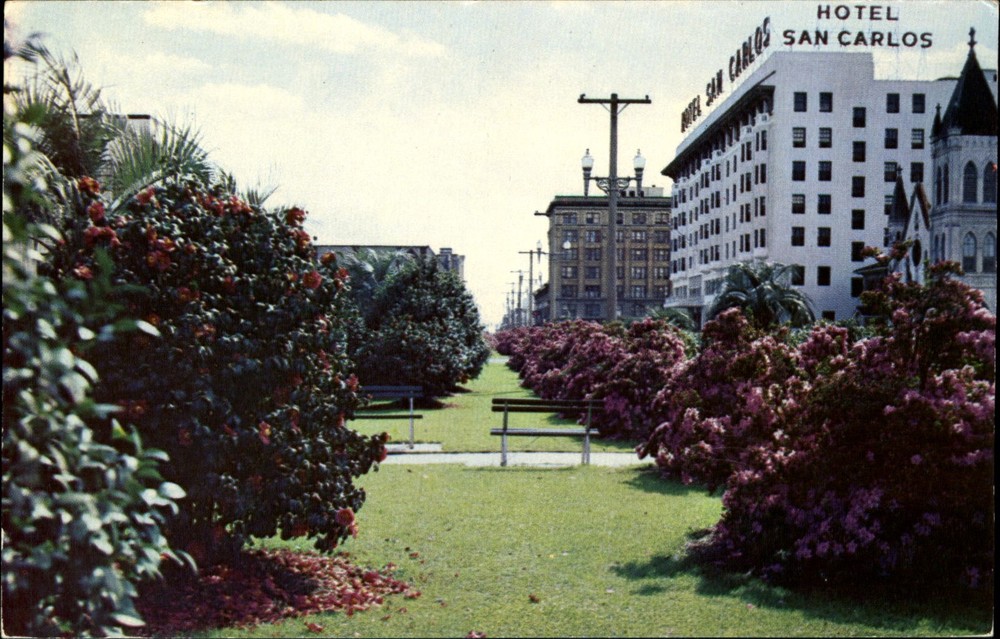Hotel San Carlos ~ Palafax Parkway ~azaleas camellias Pensacola Florida FL 1950s