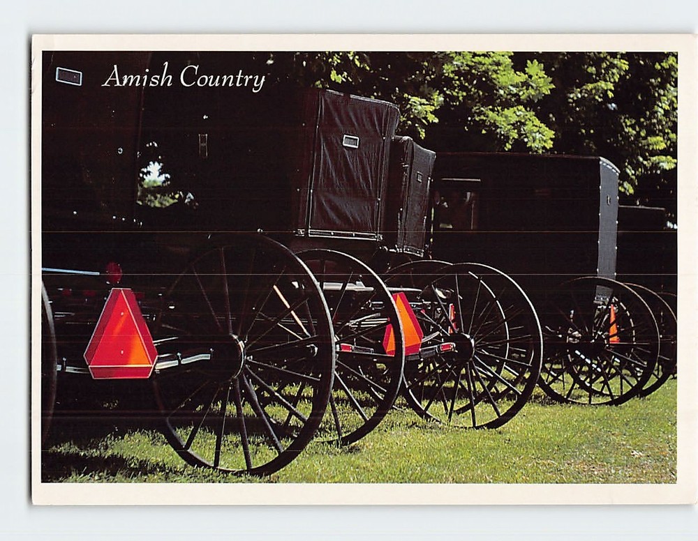 Postcard Amish Country Pennsylvania USA