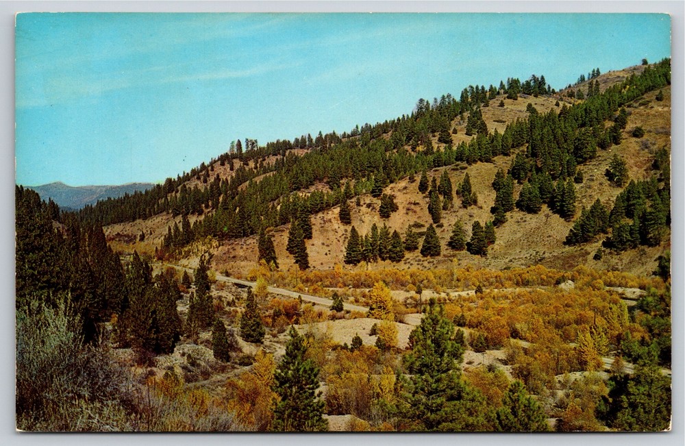 Idaho~Thar's Gold In Them Thar Hills~Air View of Hills~Vintage Postcard