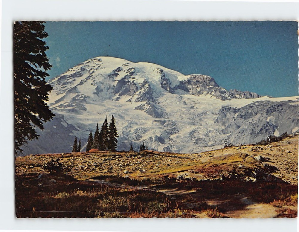 Postcard Mount Rainier National Park Washington USA North America