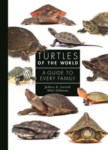 Turtles of the World: A Guide to Every Family by Jeffrey E Lovich: Used