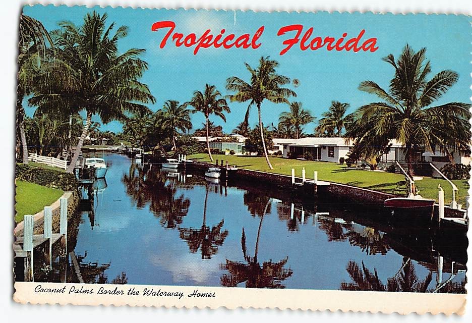 Postcard Coconut Palms Border The Waterway Homes Florida USA
