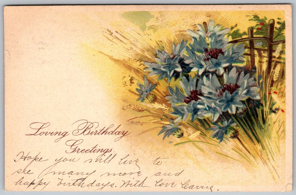 Antique Postcard Blue Cornflower Bouquet Rochester, NY 1910s