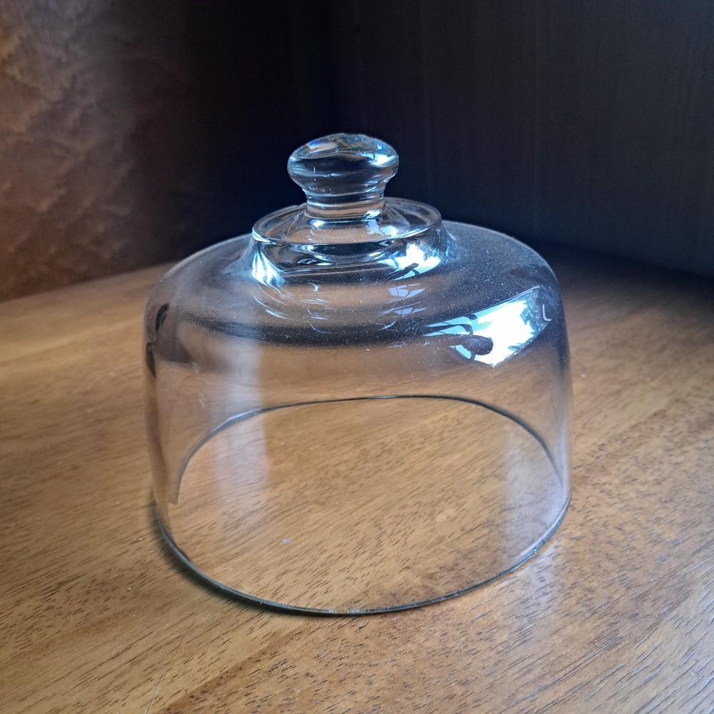 Vintage Glass Cloche Dome