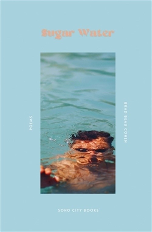 Sugar Water (Paperback or Softback)