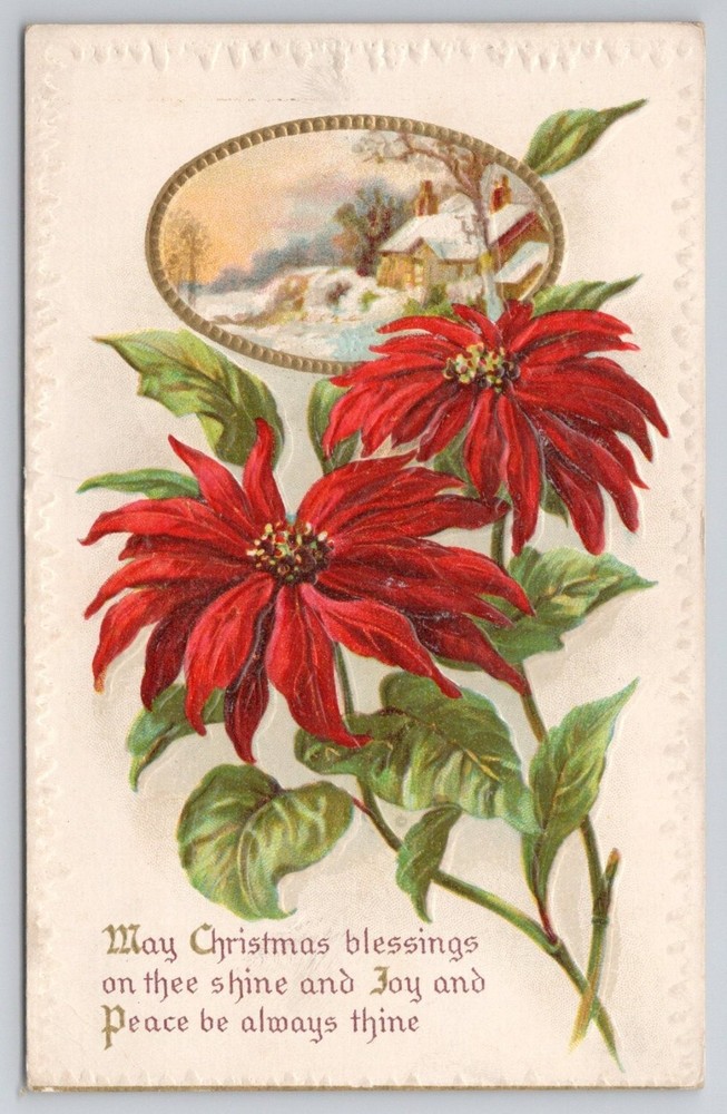 Vintage Embossed Poinsettia Christmas Postcard Snowy Winter Scene M.W. & Co.