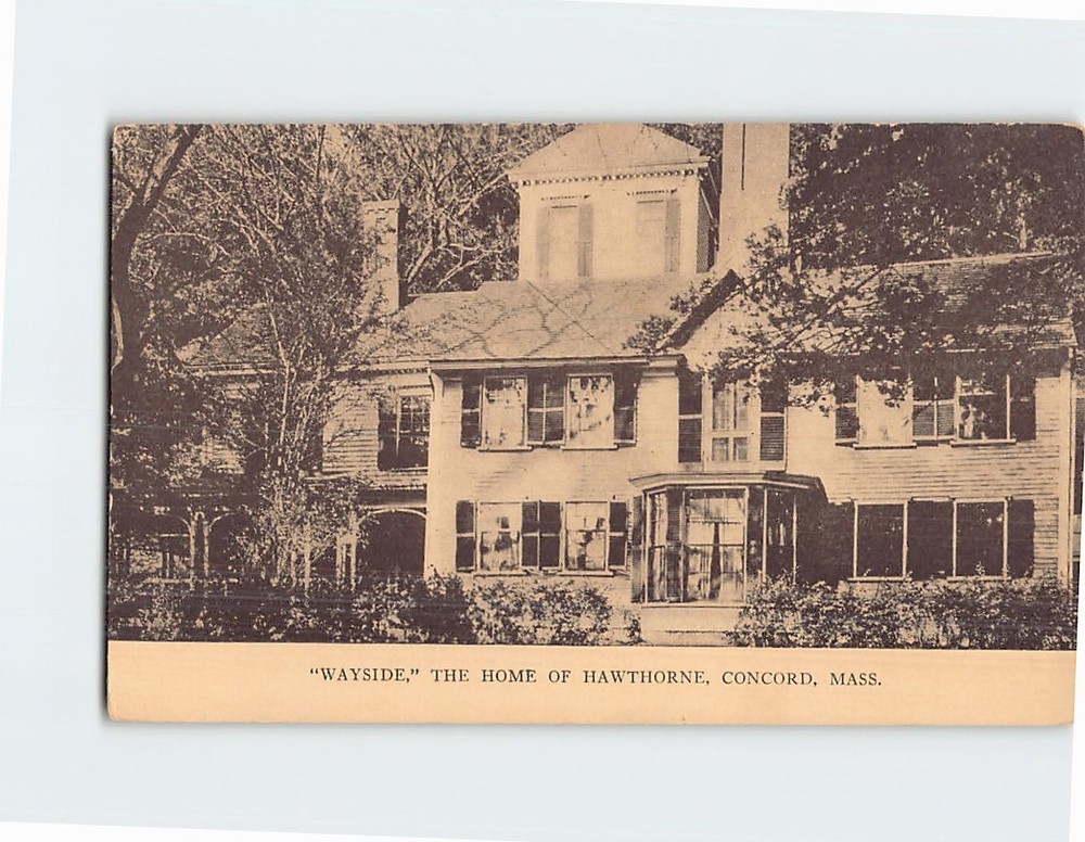 Postcard 