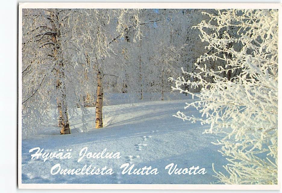 Postcard Snow Covered Trees Winter Scene