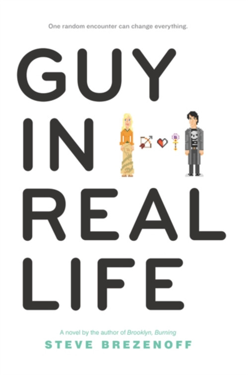 Guy in Real Life Paperback Steve Brezenoff