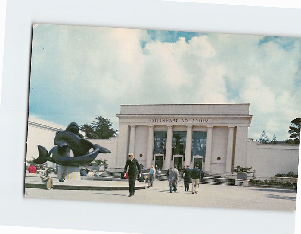 Postcard Steinhart Aquarium Golden Gate Park San Francisco California USA