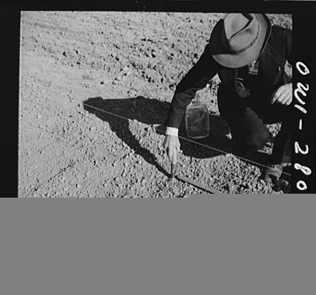 Washington DC 1940s Victory Garden Northwest Section Planting Seedlings