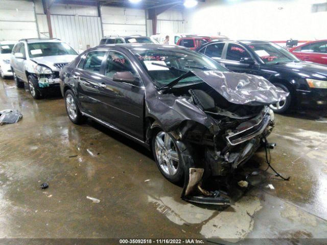 Cubierta de válvula MALIBU 2012 359315