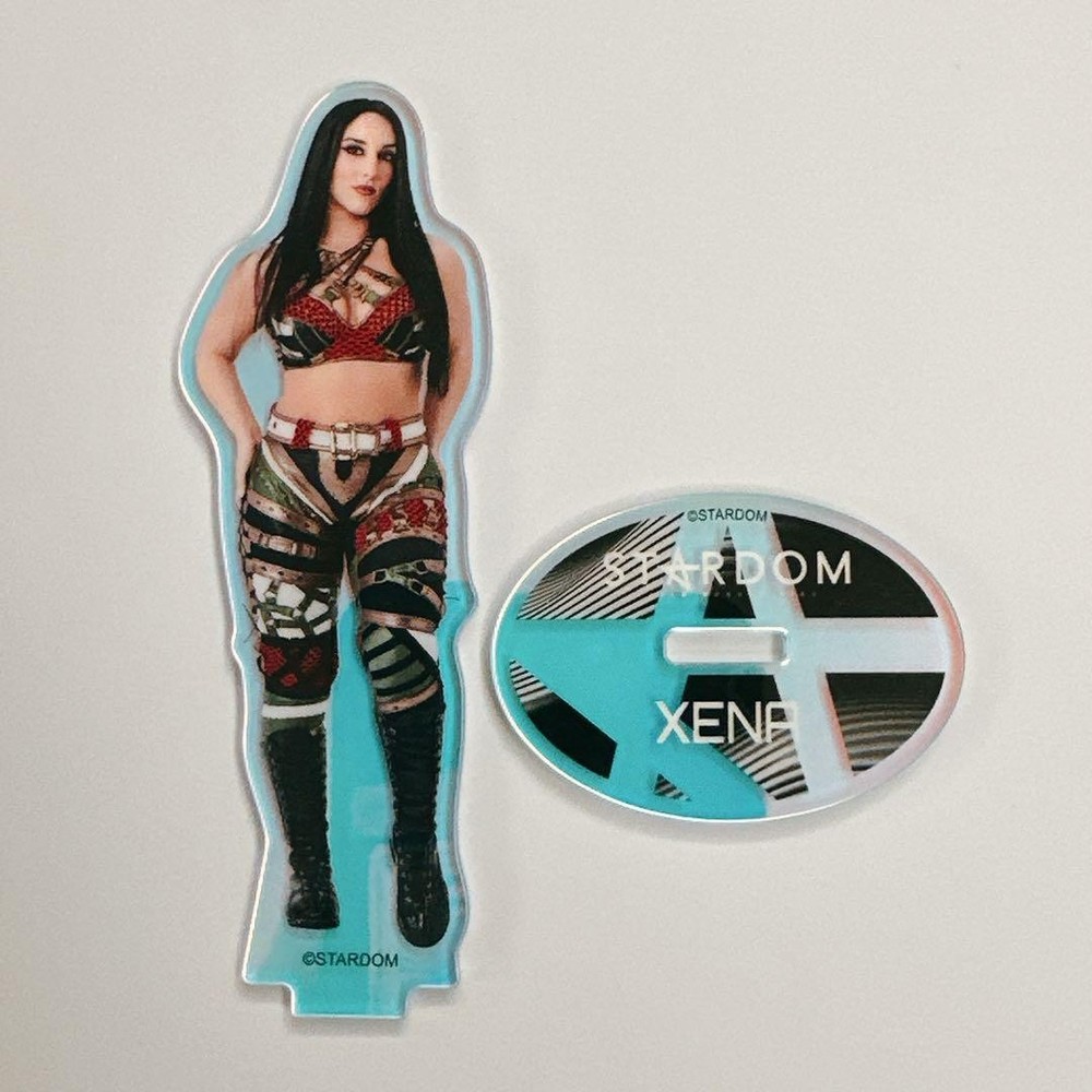 Gina Stardom Aurora Acrylic Stand 2026 April Yokohama Arena Used Japan