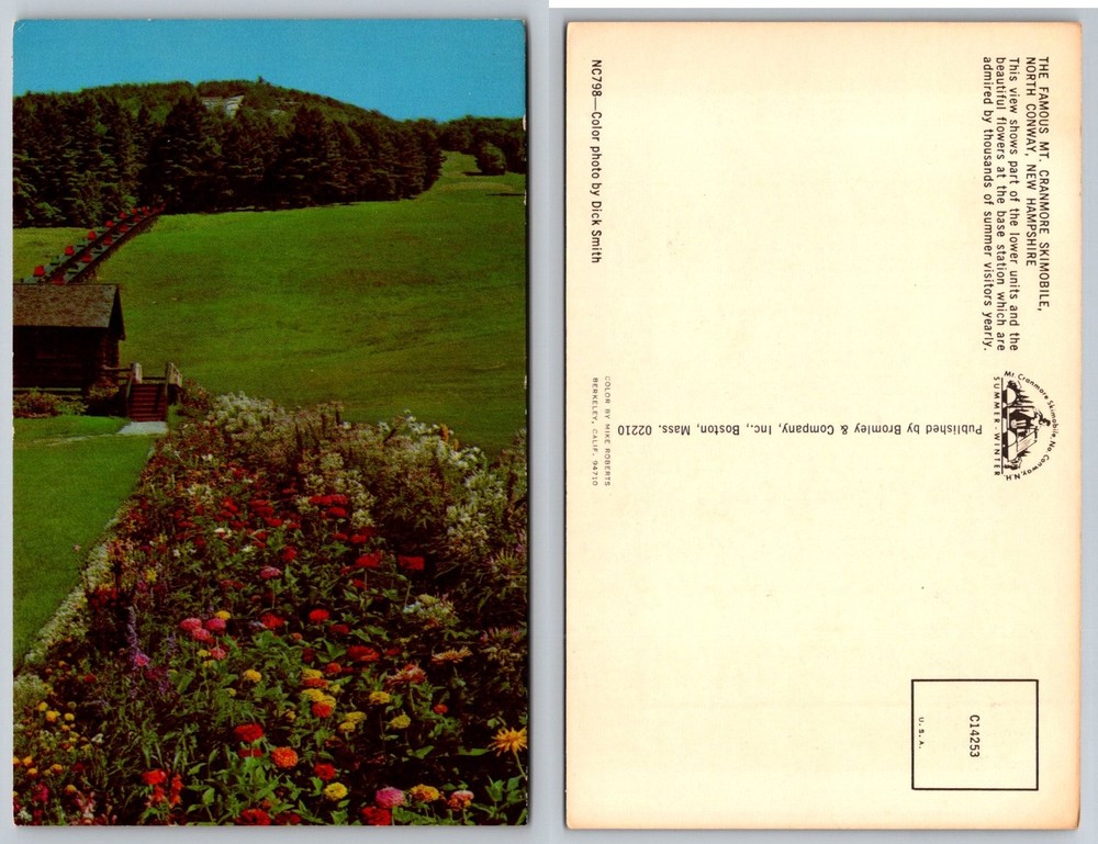 Mt Cranmore Skimobile North Conway NH Postcard Summer Flowers Linen