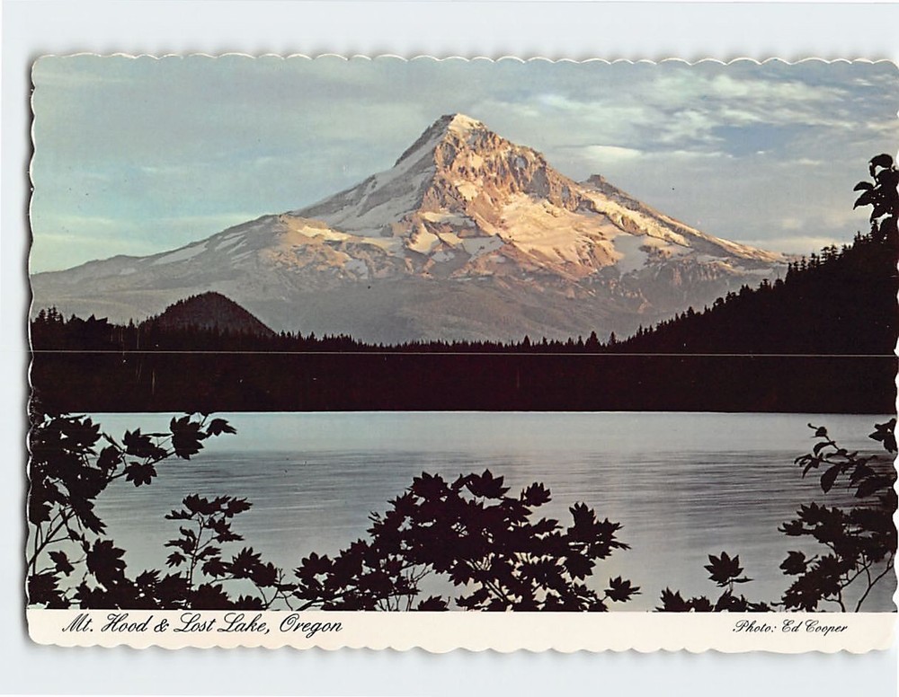 Postcard Mt. Hood & Lost Lake Oregon USA